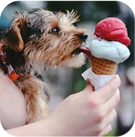 Icecream